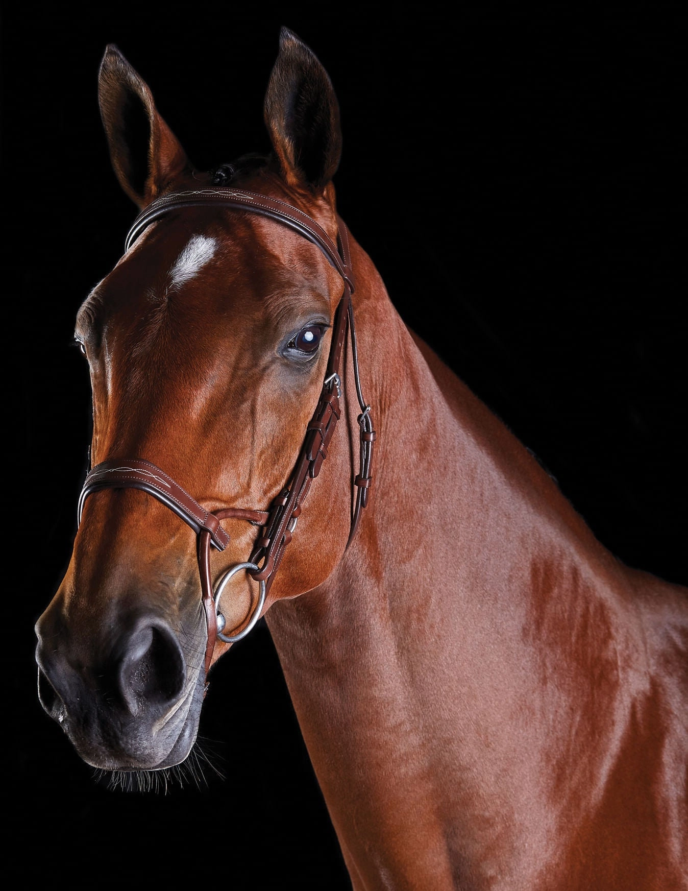 Collegiate ComFITec Fancy Stitch Bridle