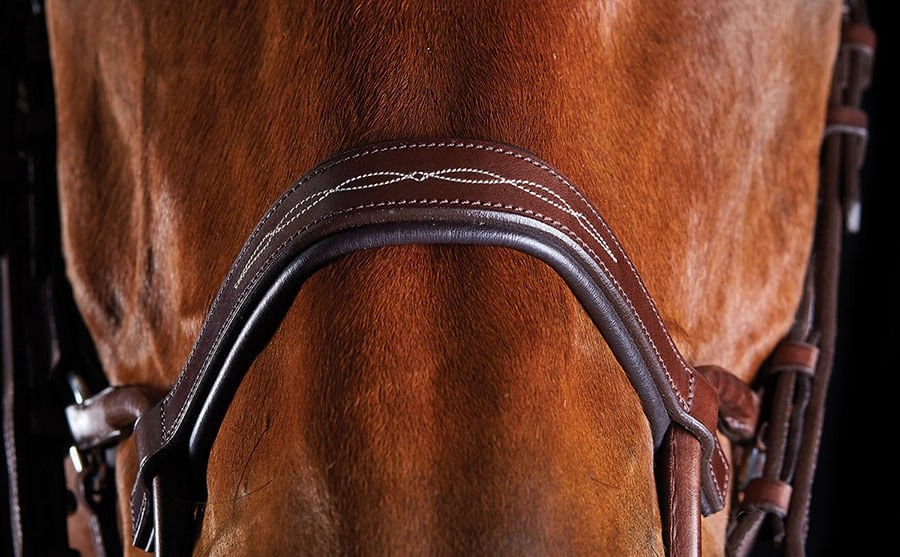 Collegiate ComFITec Fancy Stitch Bridle