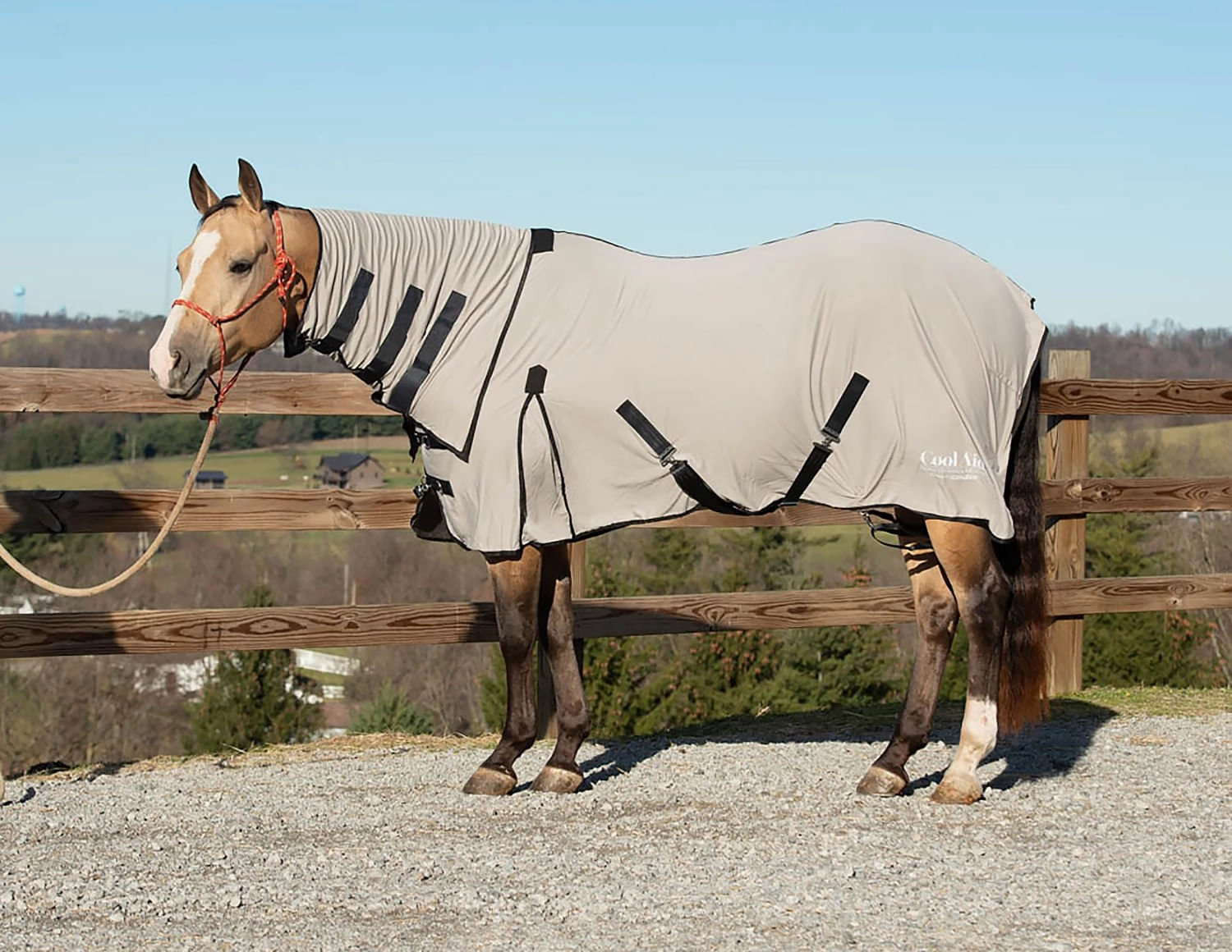 Coolcore Equine Cooling Blanket