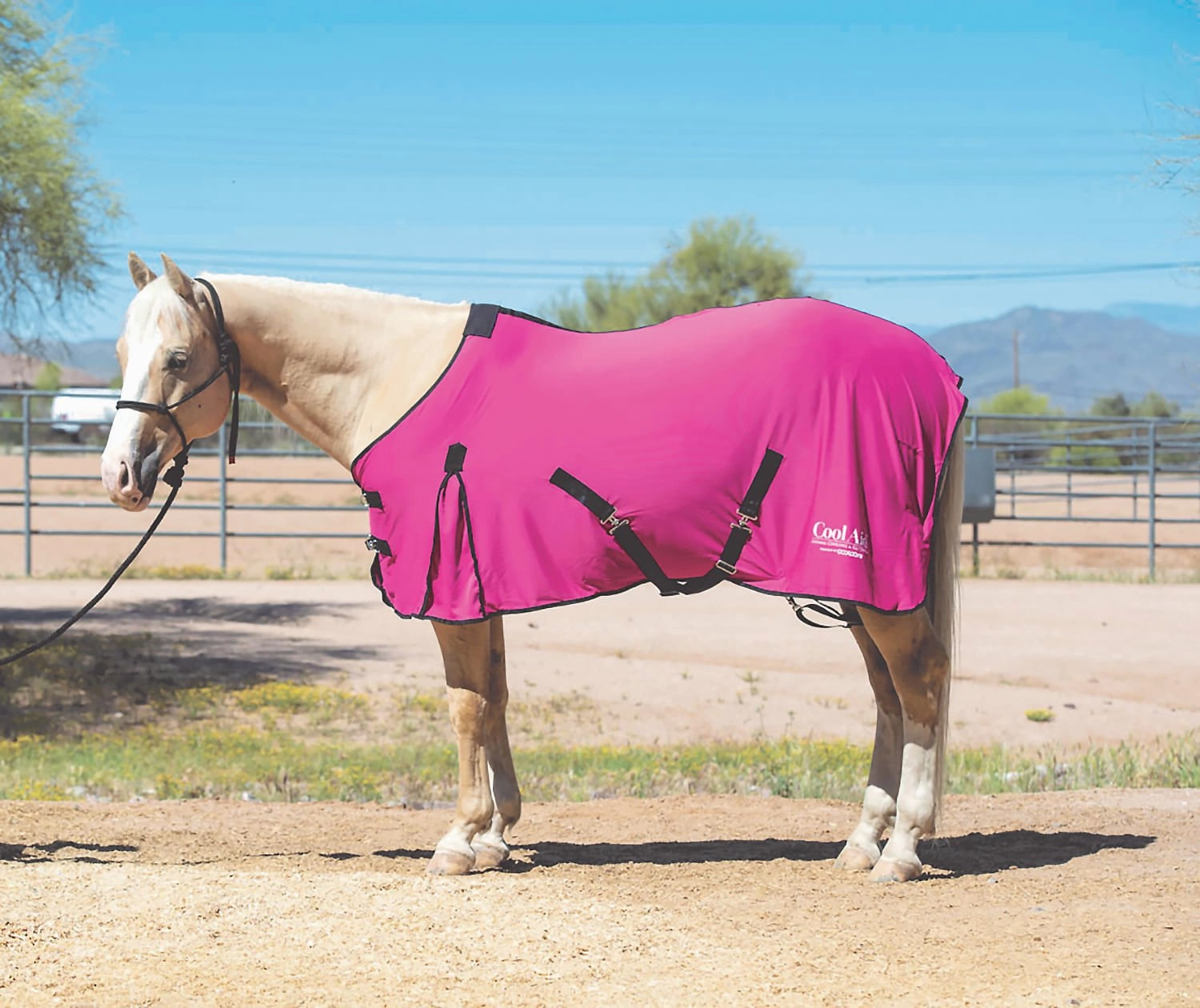 Coolcore Equine Cooling Blanket