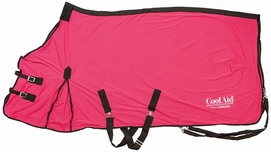 Coolcore Equine Cooling Blanket
