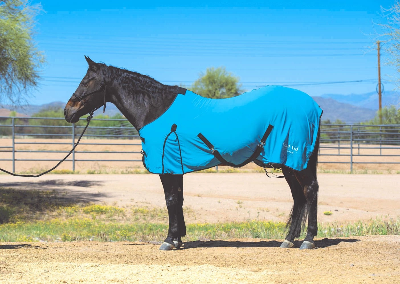 Coolcore Equine Cooling Blanket