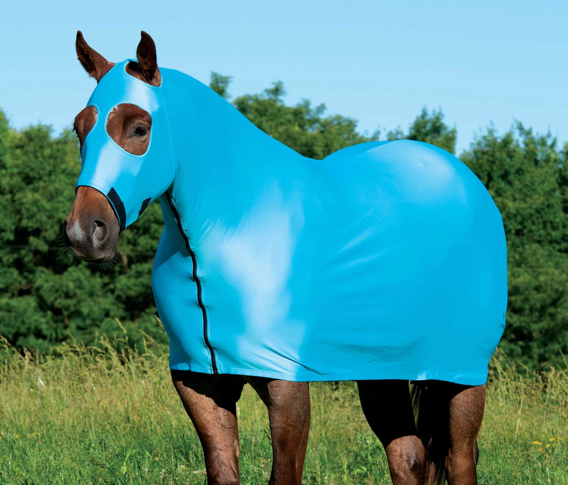 Coolcore Lycra Cooling Sheet for Horses w/ UV Protection