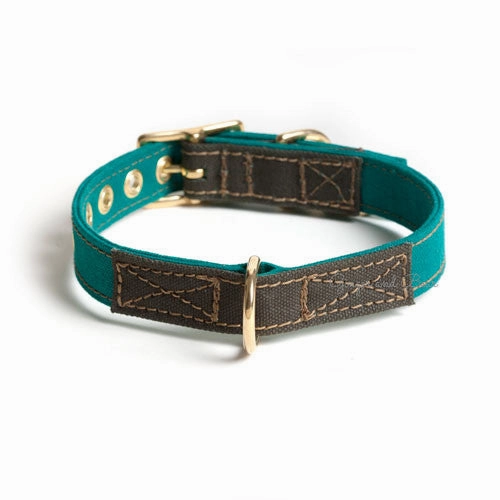 Cotton Canvas Collar, Girl Scout Green