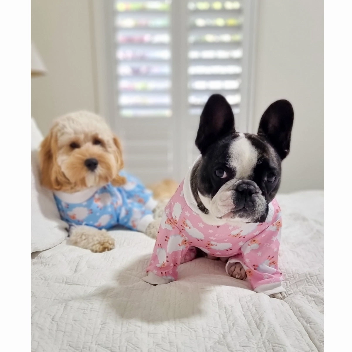 Counting Sheep Dog Pyjamas - Pink