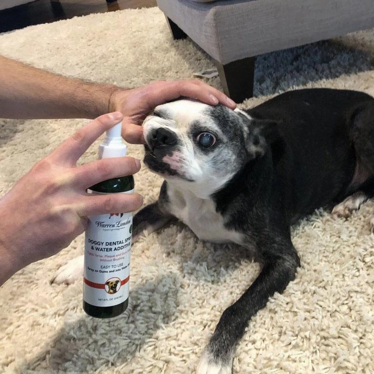 Dental Dog Spray And Water Additive
