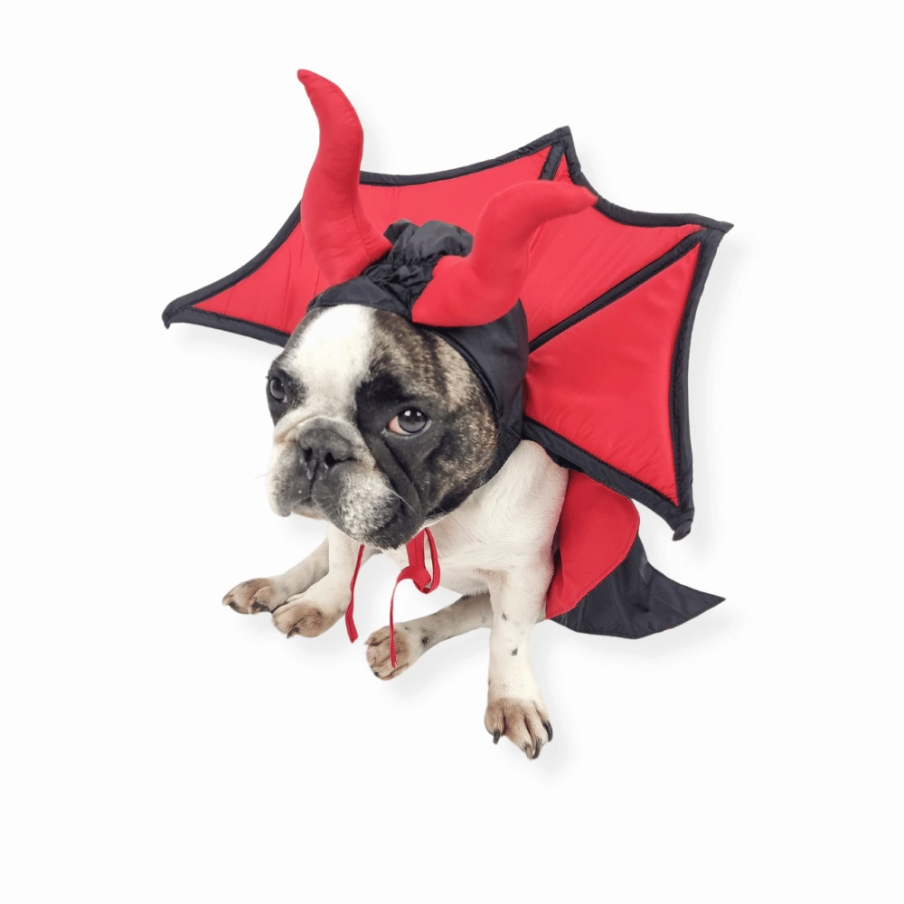 Devil Vampire Dog Costume
