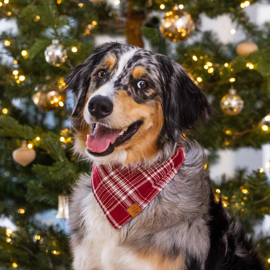 Dog and Cat Bandana: Marsala Plaid Flannel