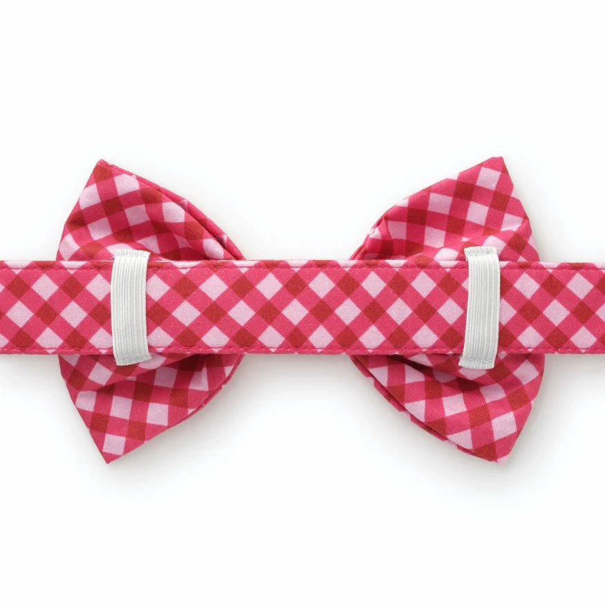 Dog and Cat Bowtie: Raspberry Gingham