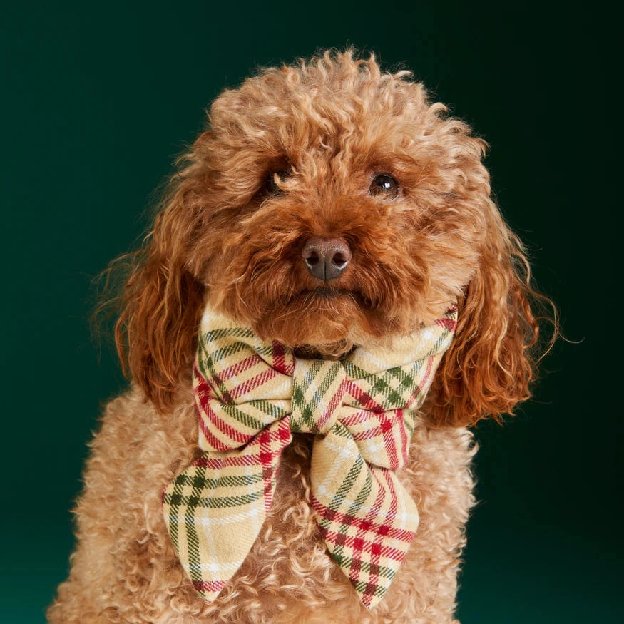 Dog and Cat Lady Bowtie: Eggnog Plaid Flannel