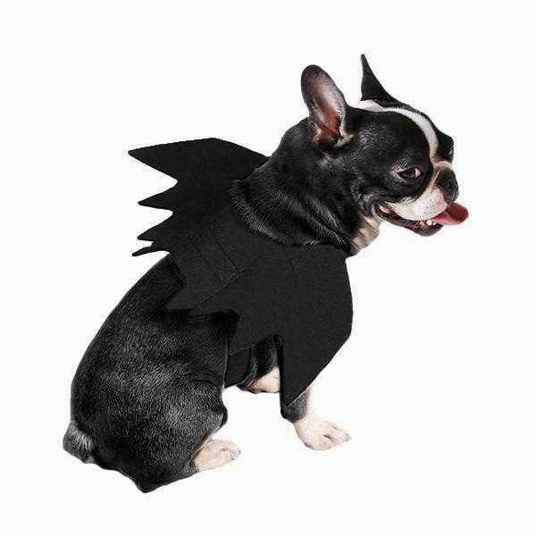 Dog Bat Wings Halloween Costume
