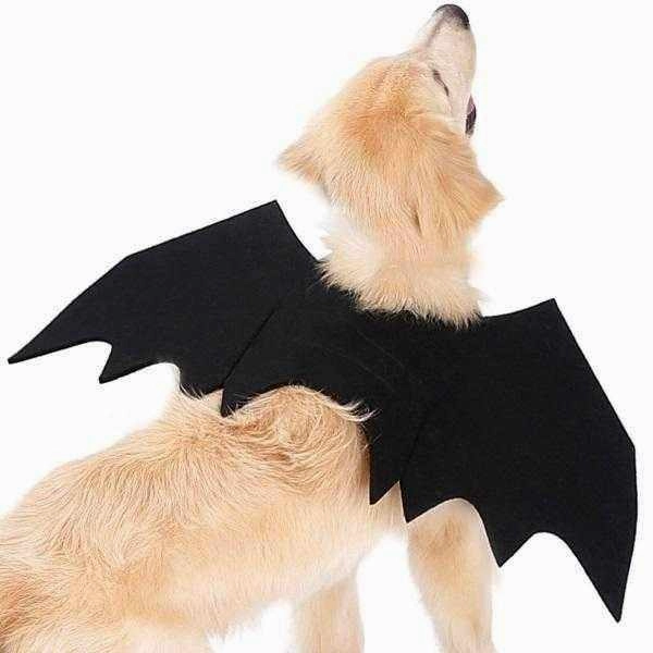 Dog Bat Wings Halloween Costume