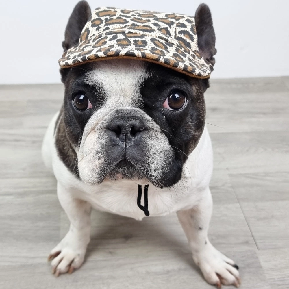 Dog Cap - Leopard