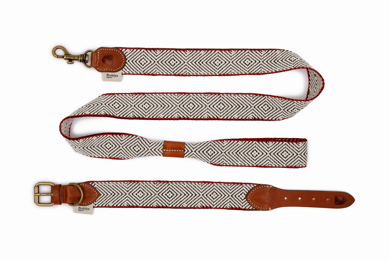 Dog Collar: Capri Beach Day