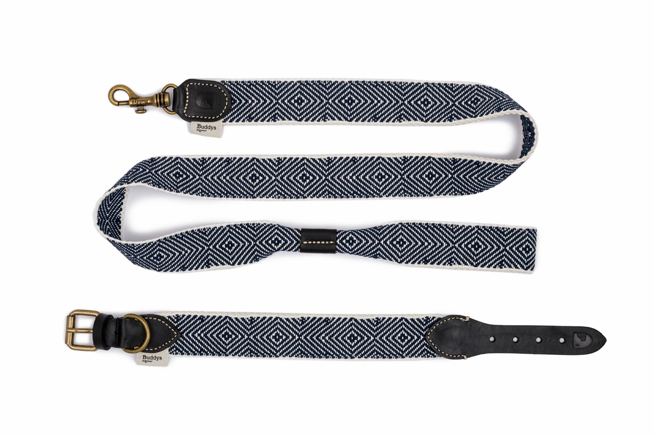 Dog Collar: Capri Party Night