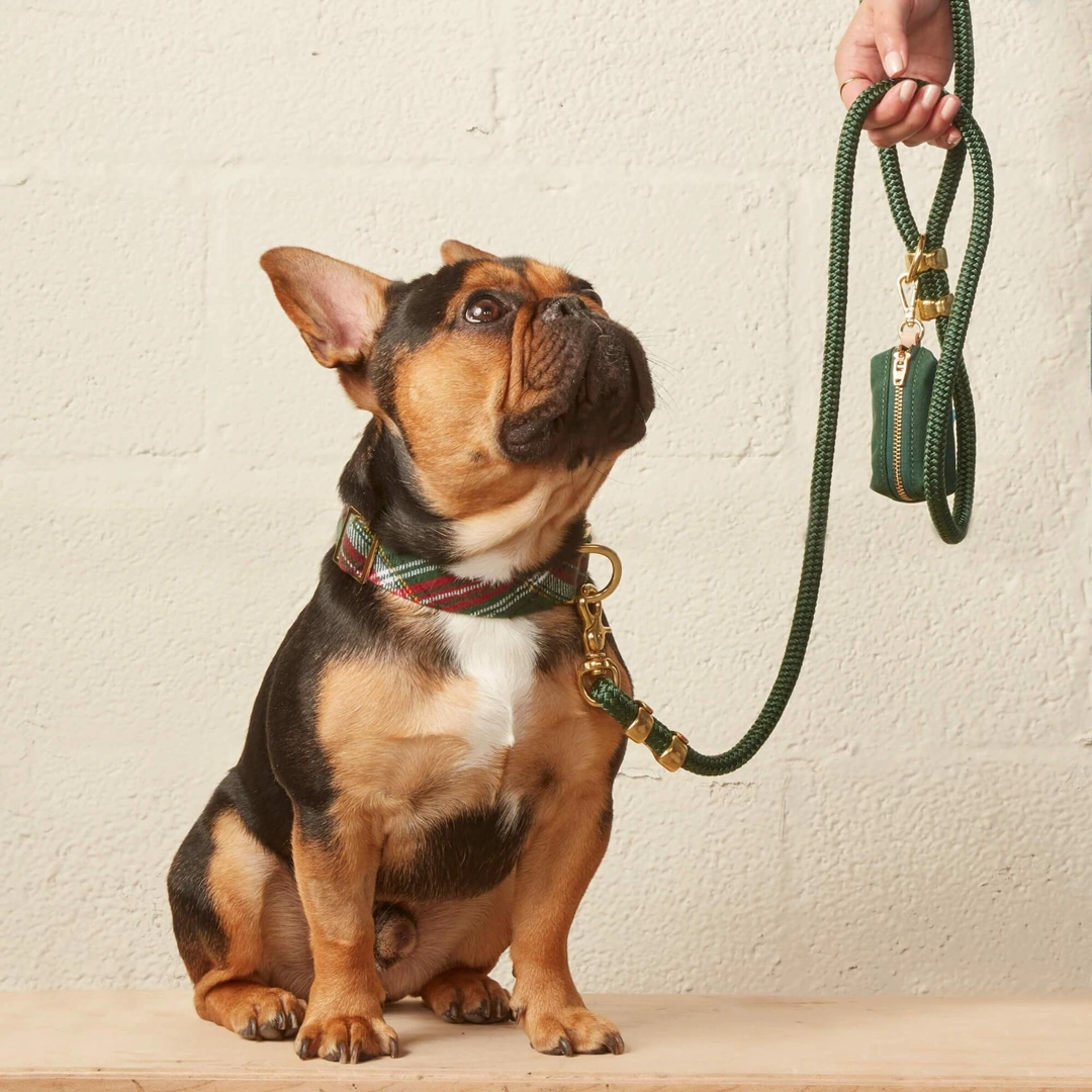 Dog Collar: Holly Jolly Plaid Flannel