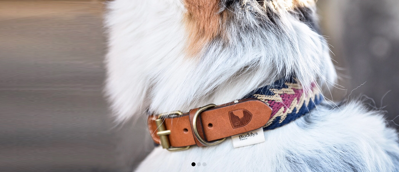 Dog Collar: Peruvian Arrow Blue
