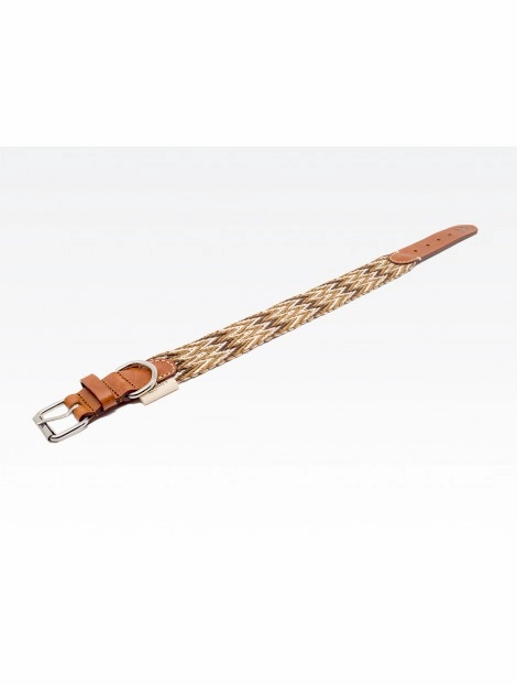 Dog Collar: Peruvian Brown