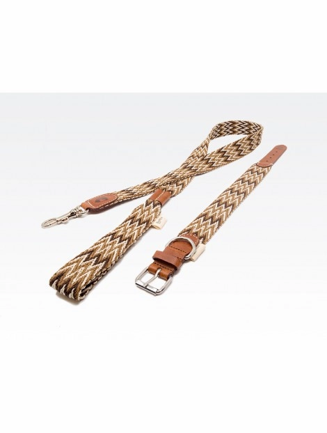 Dog Collar: Peruvian Brown