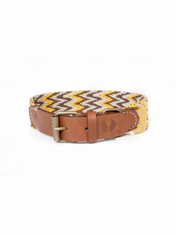 Dog Collar: Peruvian Gold
