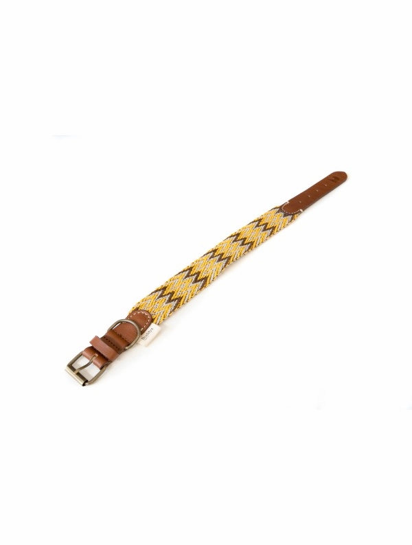 Dog Collar: Peruvian Gold