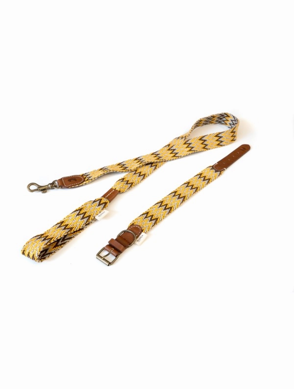 Dog Collar: Peruvian Gold
