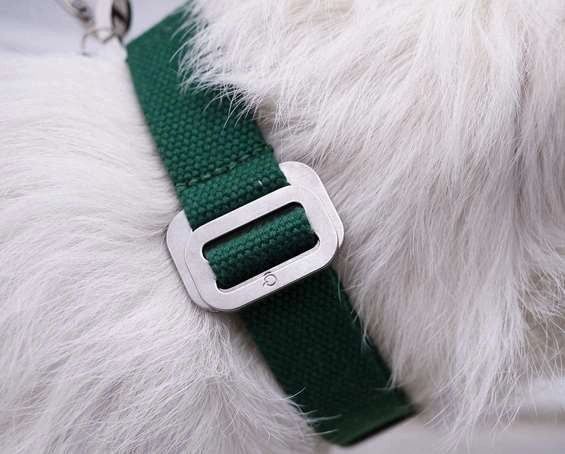 Dog Collar: Weave Cotton
