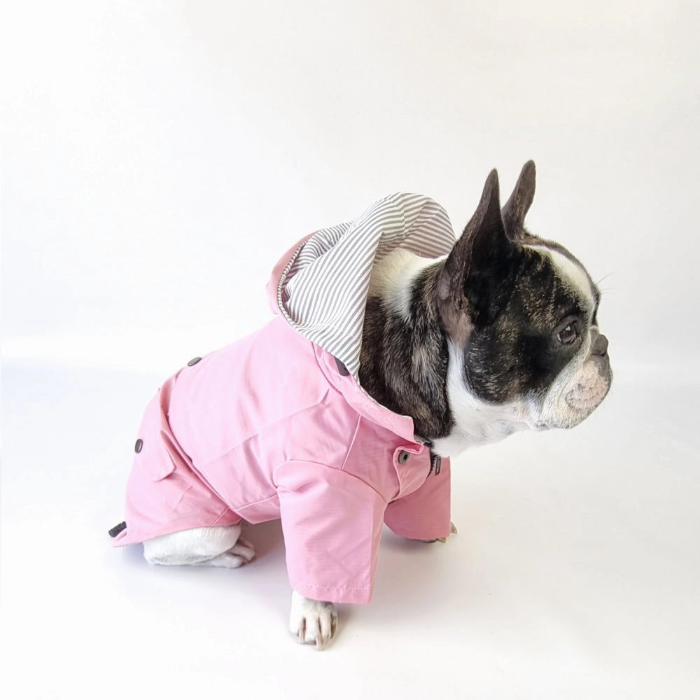 Dog Raincoat - Pink