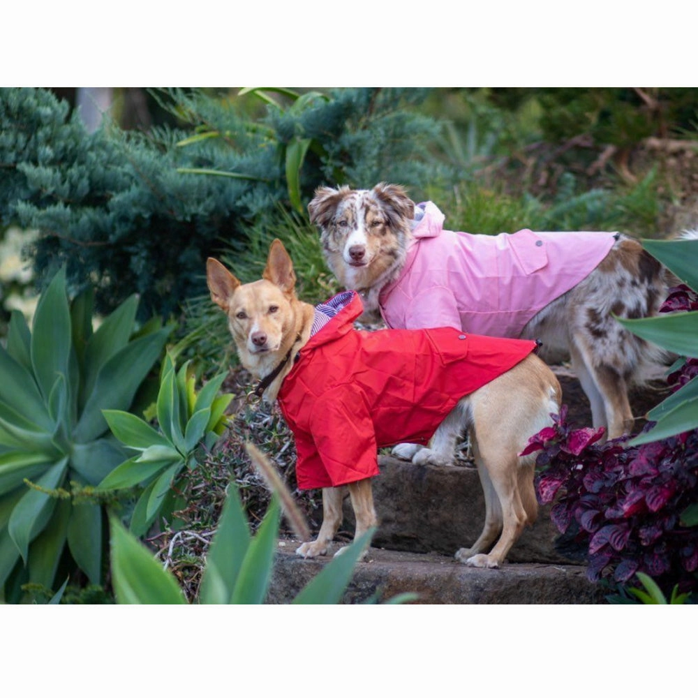 Dog Raincoat - Red