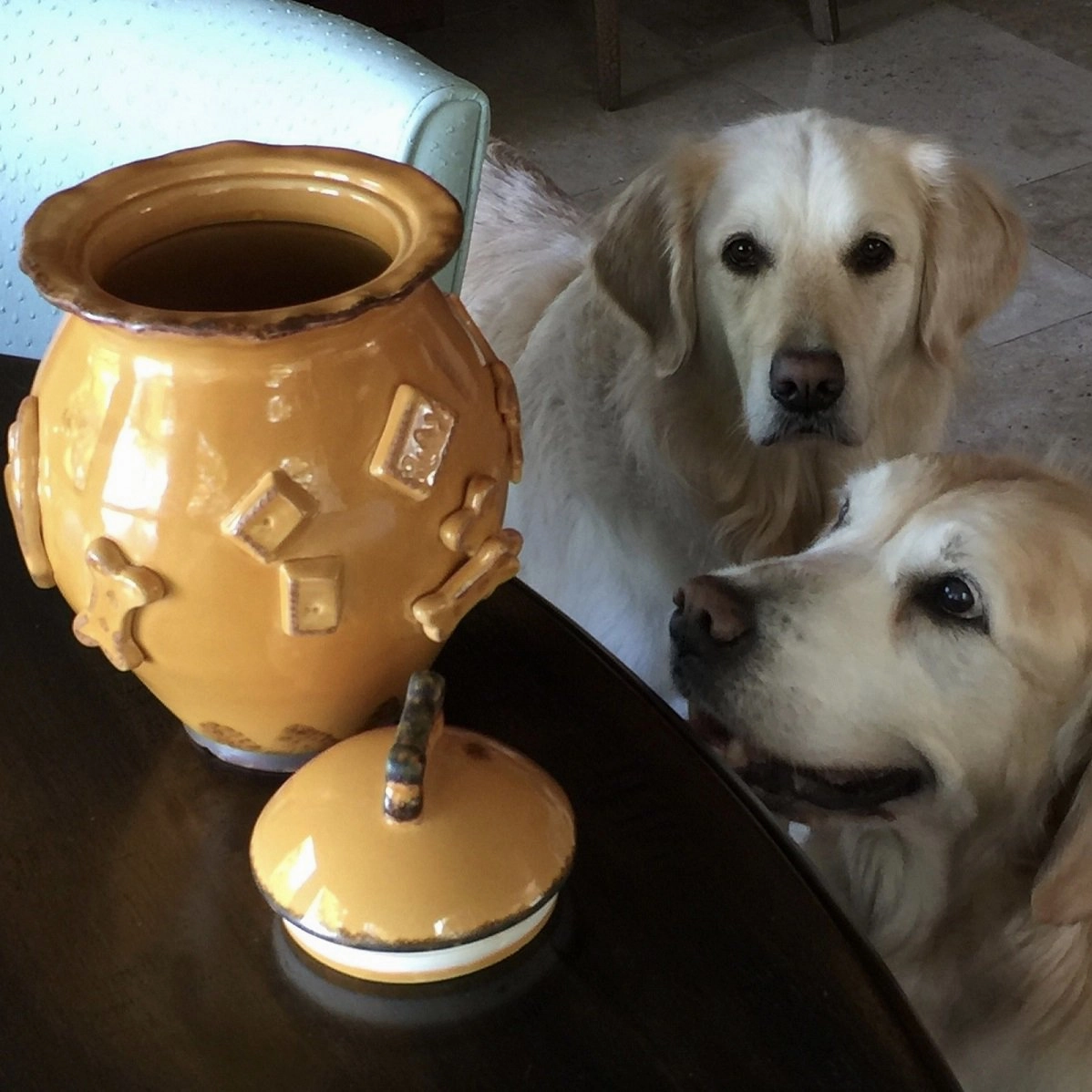 Dog Treat Jar Caramel