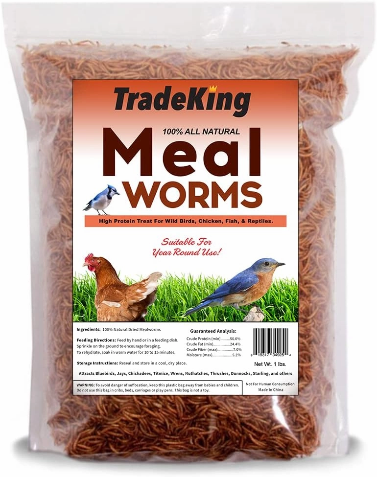 Dried Mealworms