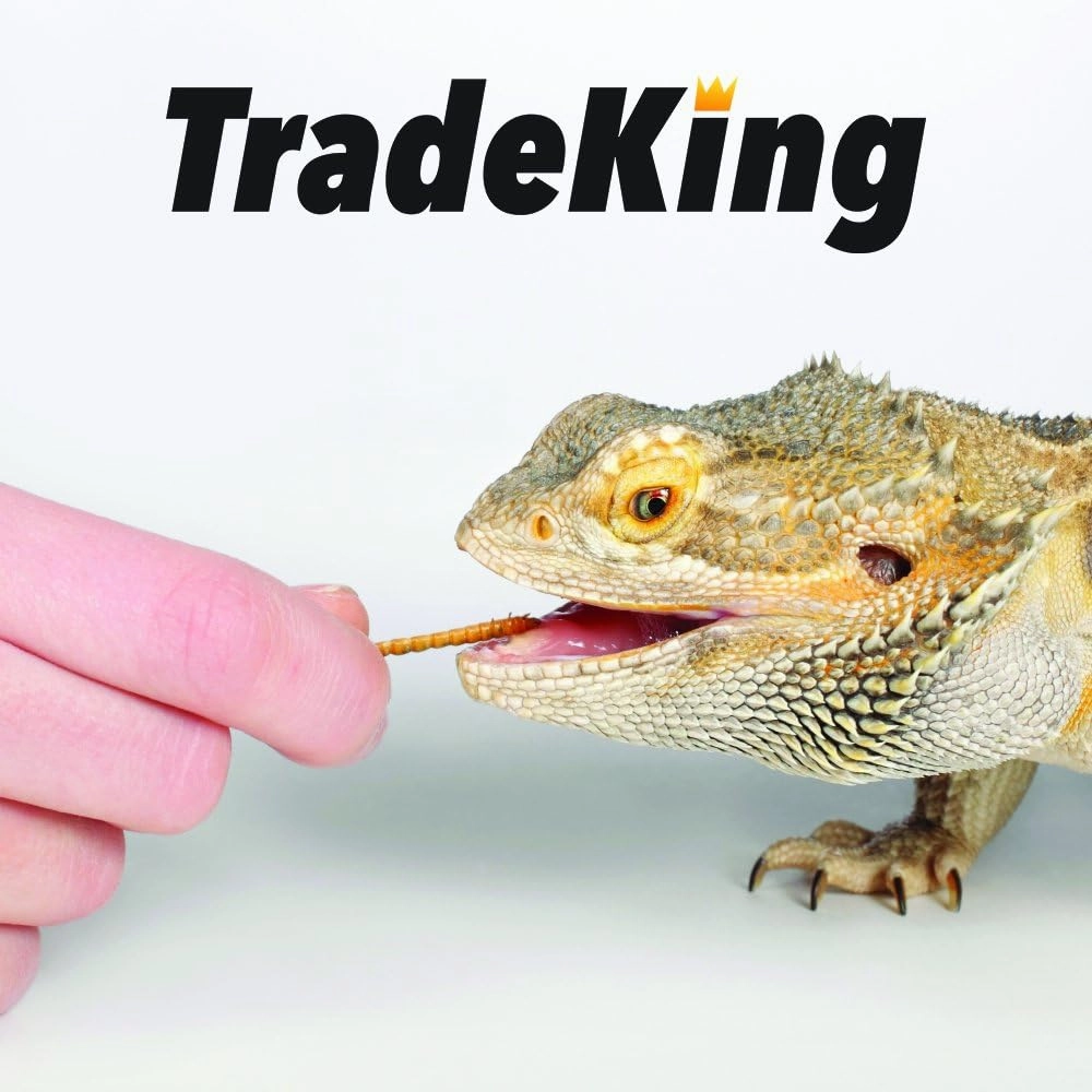 Dried Mealworms