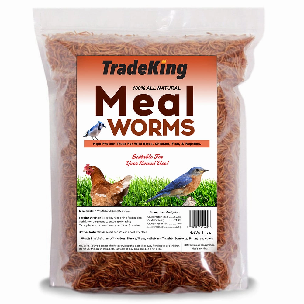 Dried Mealworms