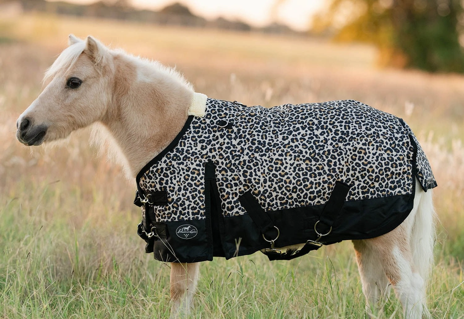 Equisential 600D Standard Neck Mini & Pony Medium Weight Blanket, Cheetah