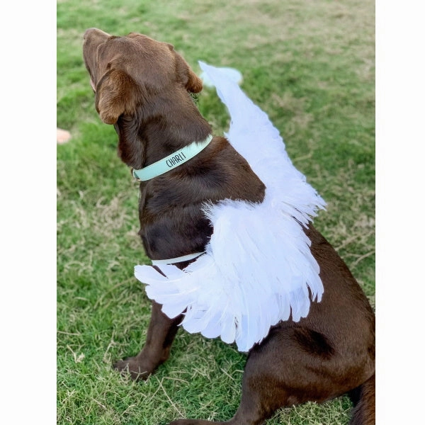 Feather Angel Wings Costume