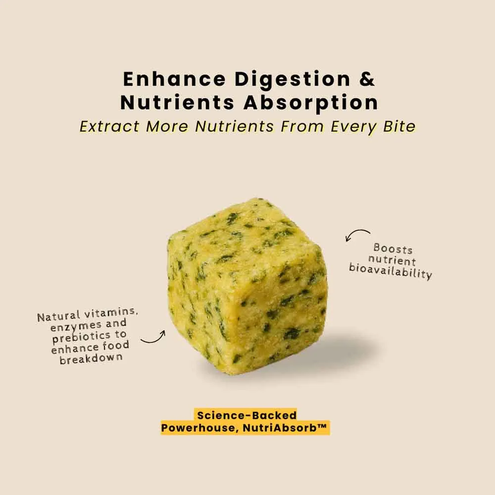 'FREE DEFROSTING TRAY': frashfresh Cooked Fish NutriAbsorb Frozen Dog Food 2.25kg