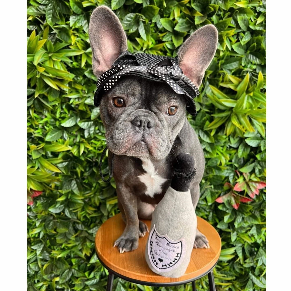 Full Brim Dog Sun Hat Black