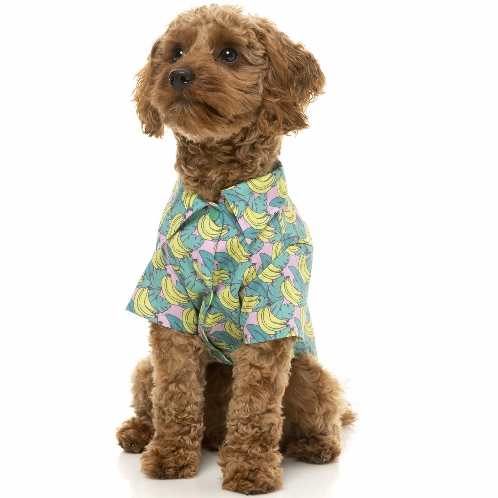FuzzYard Button Up Shirt For Dogs (Bananarama)