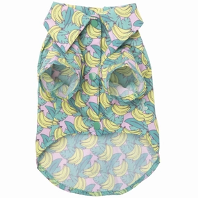 Dog Apparel
