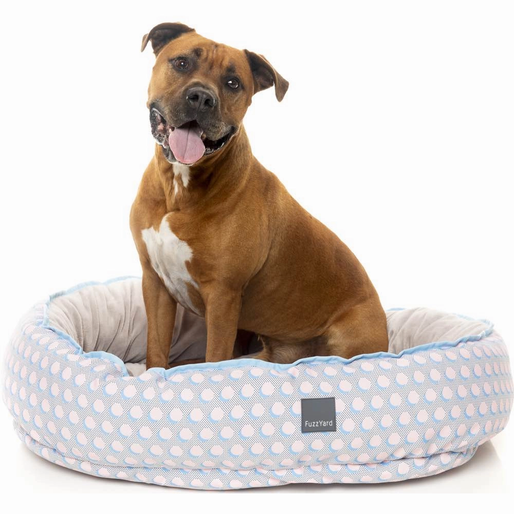 FuzzYard Reversible Dog Bed (Dippin')