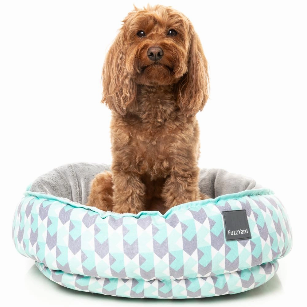FuzzYard Reversible Dog Bed (Mint Fizz)