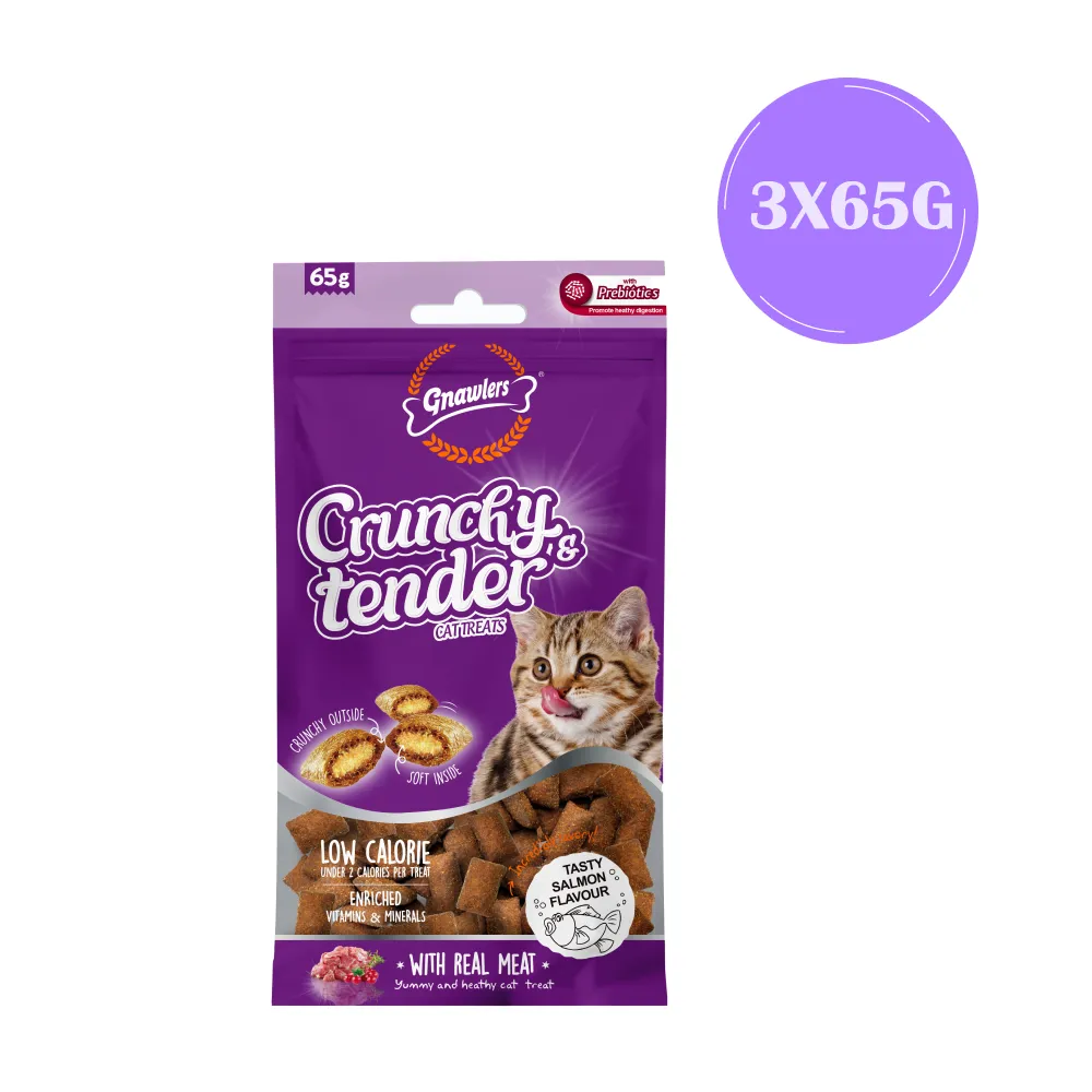 Gnawlers Salmon Crunchy Tender Cat Treats