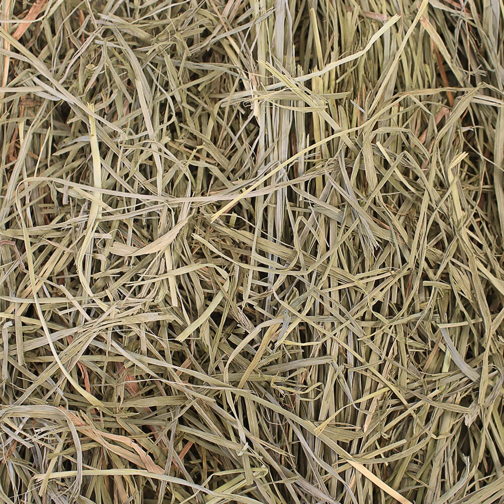 Grandpa's Best Orchard Grass Loose Boxed Hay