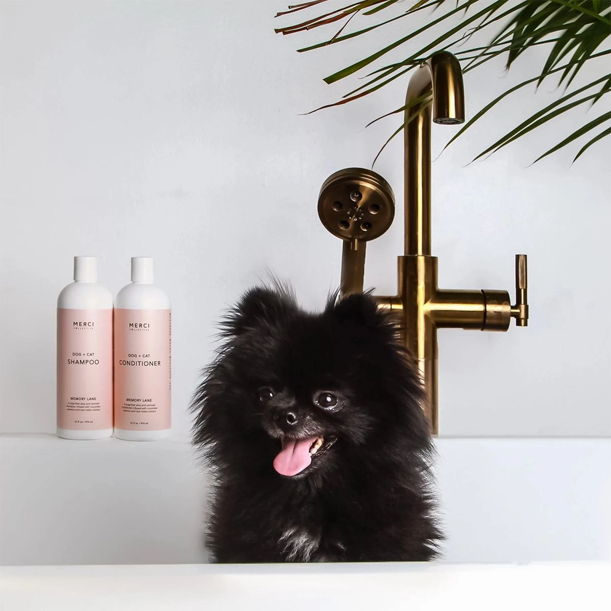 Healing Crystal Infused Dog Conditioner Amethyst