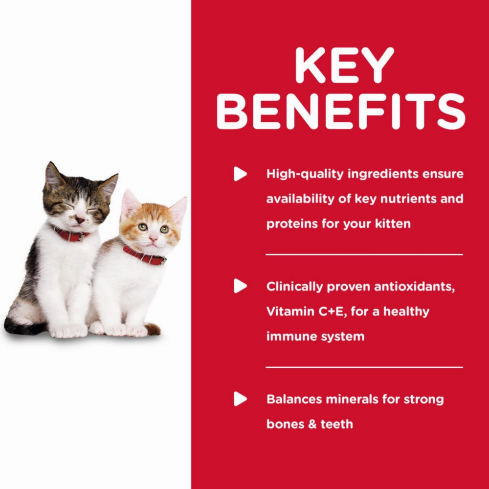 Hill's Science Diet Kitten Savory Turkey Entree Canned Food