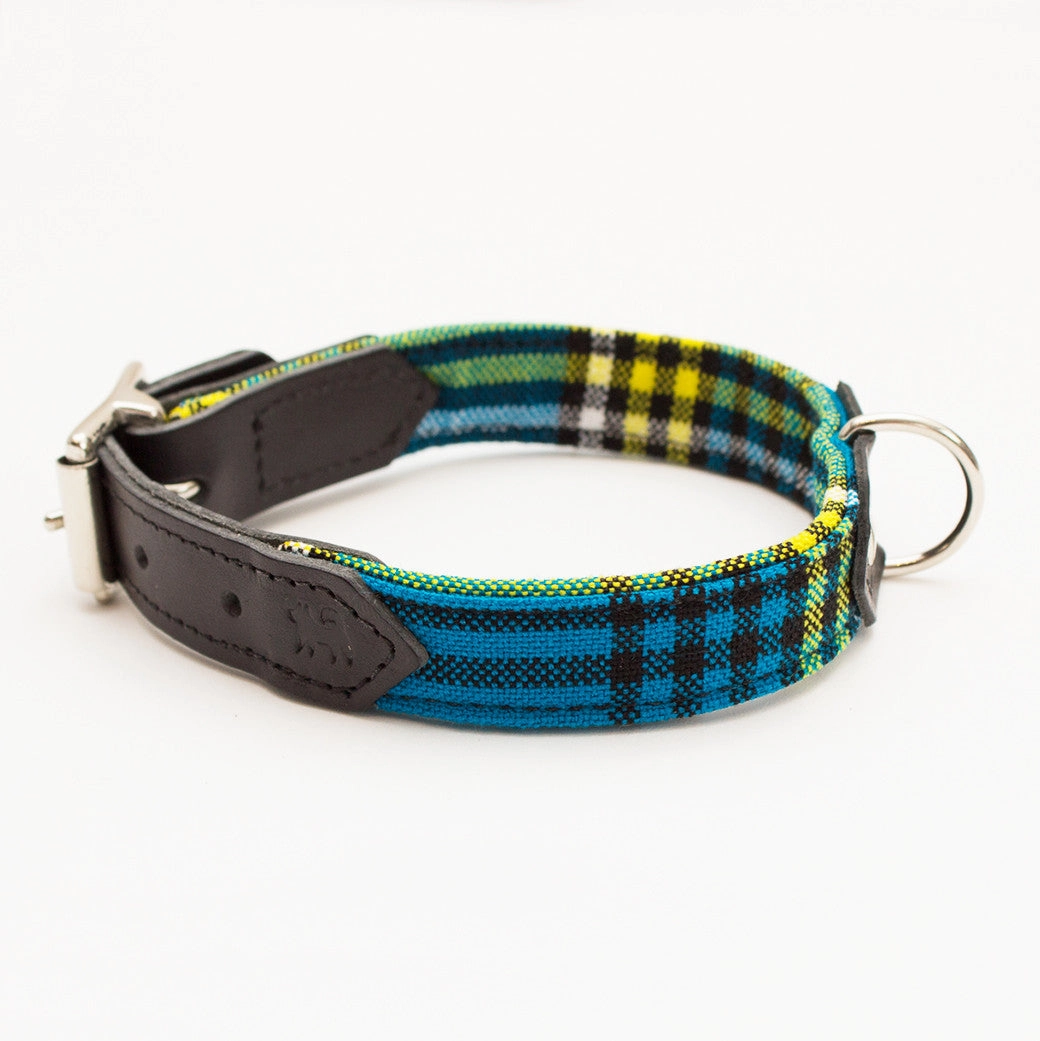 Hiro Wolf Collar: Shuka Blue