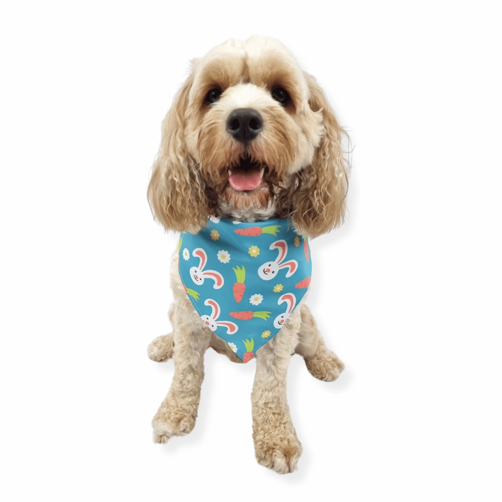 Hopping For Carrots Bandana