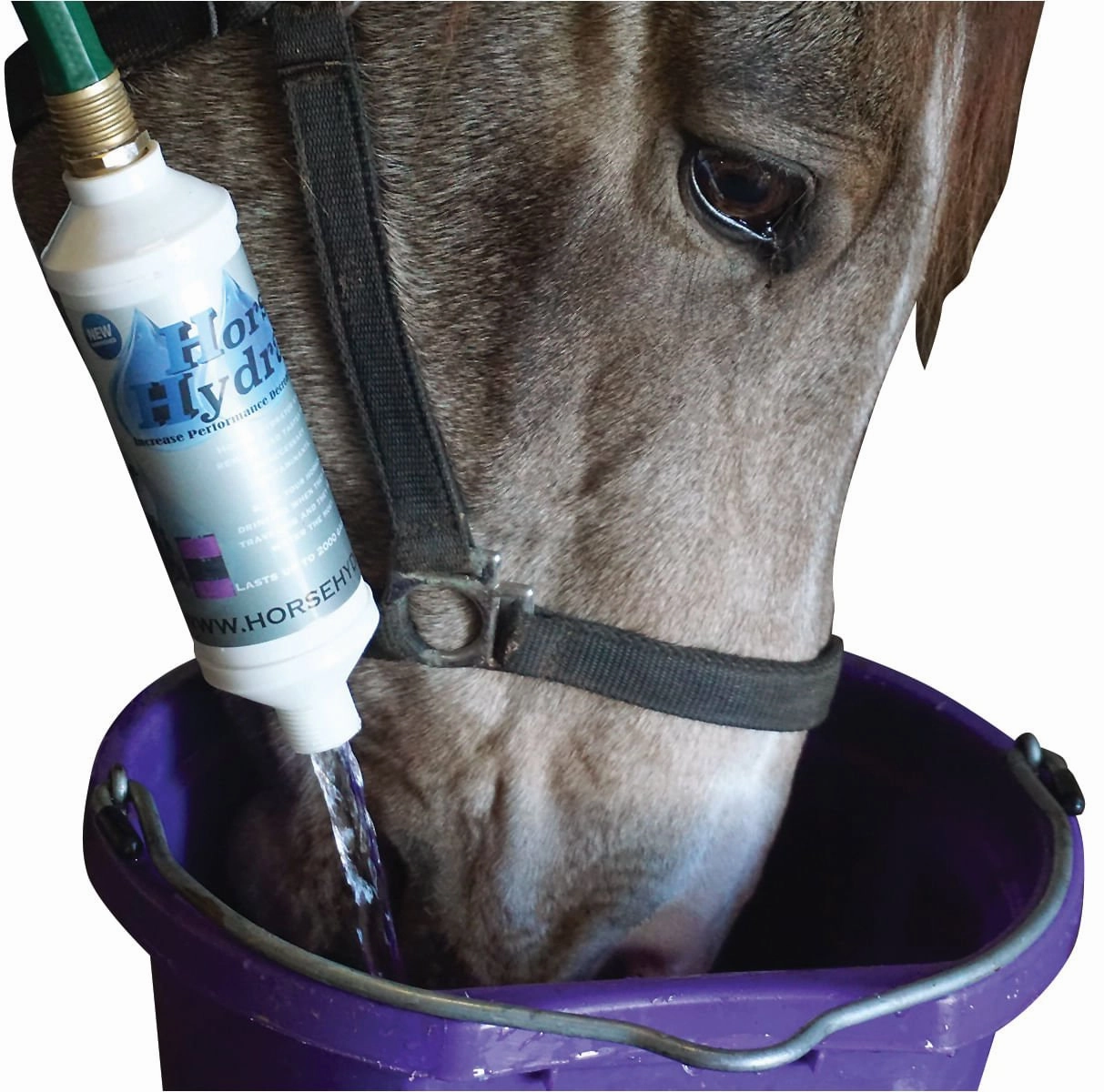 Horse Hydrator Water Filtration System