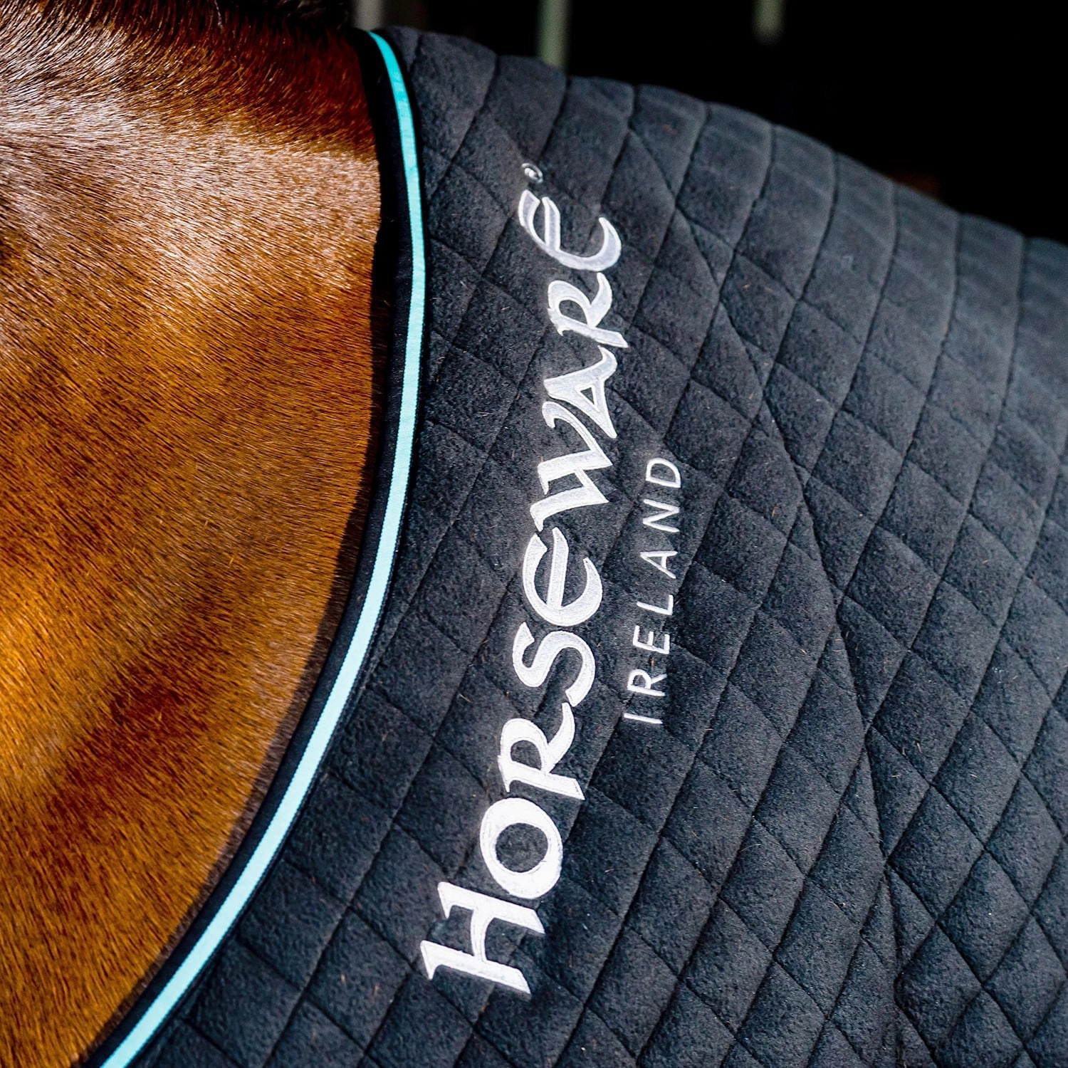 Horseware Autumn Cooler, Black/Aqua