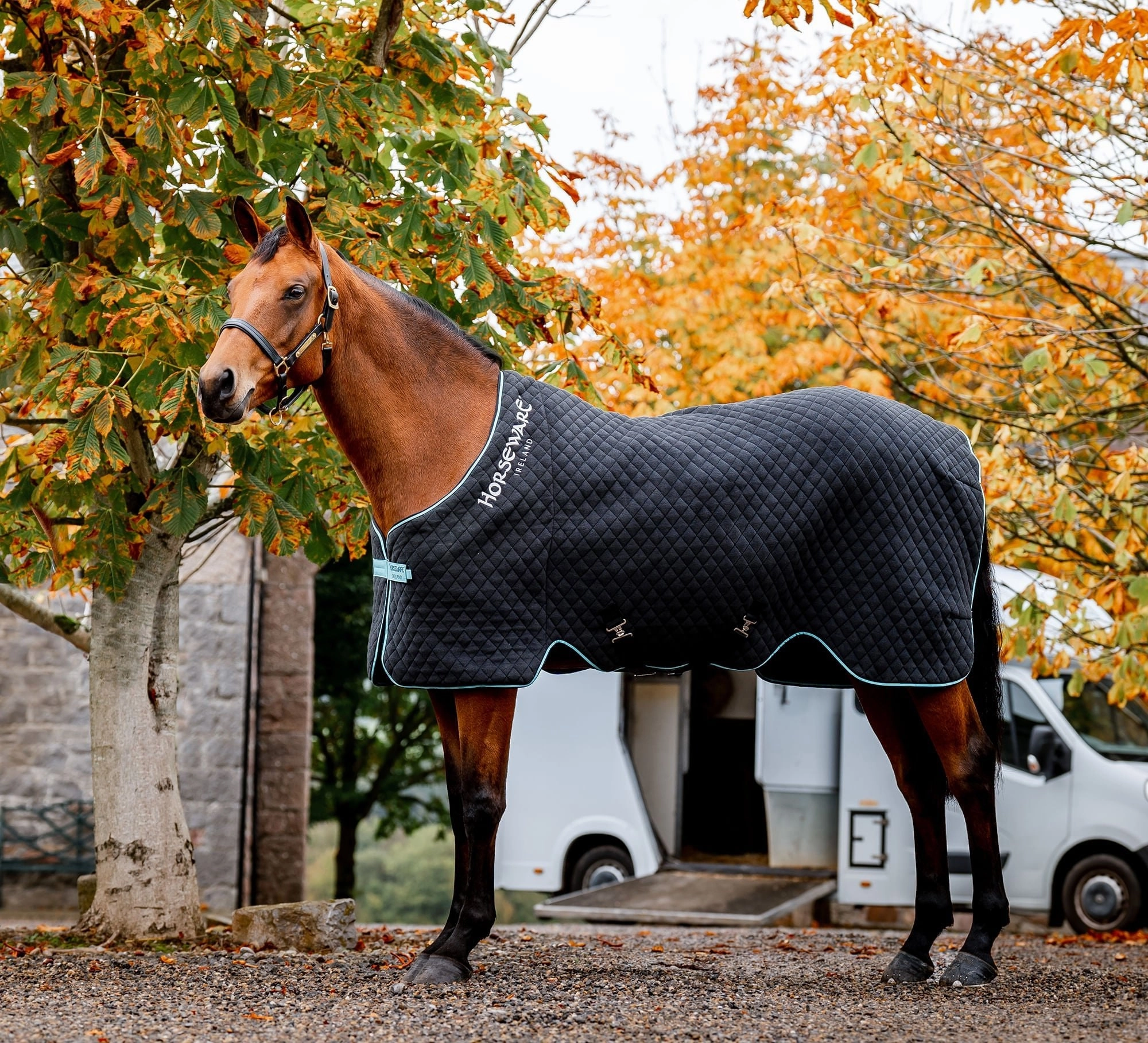 Horseware Autumn Cooler, Black/Aqua